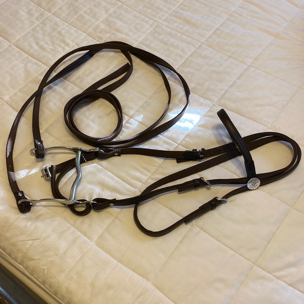 Western bridle, bit, and reins